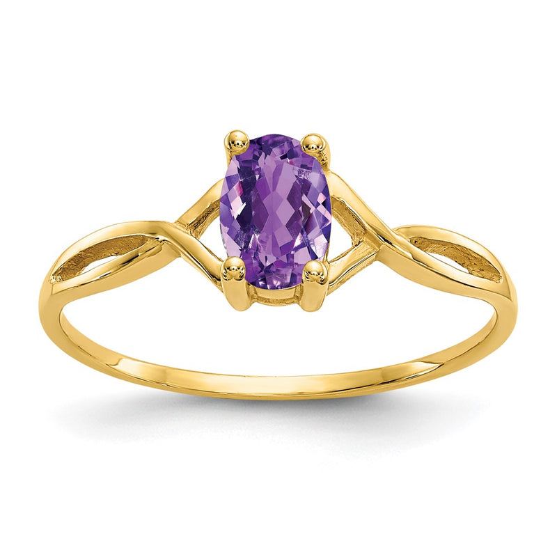 10K Yellow Gold Polished Genuine Amethyst Birthstone Ring