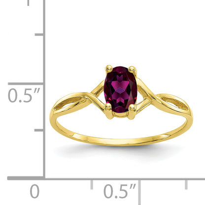10K Yellow Gold Polished Genuine Rhodolite Garnet Birthstone Ring
