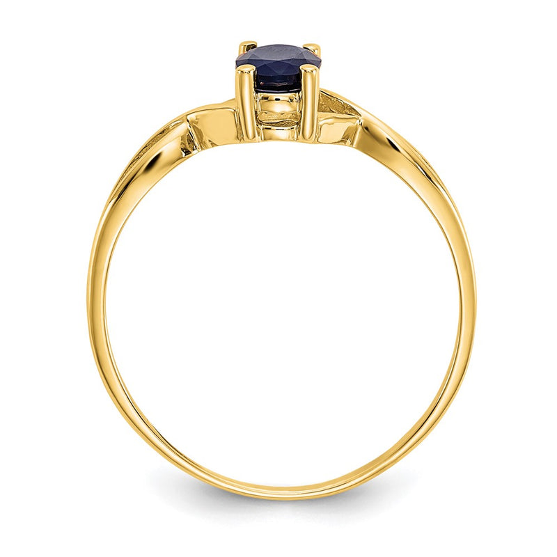 10K Yellow Gold Polished Genuine Sapphire Birthstone Ring