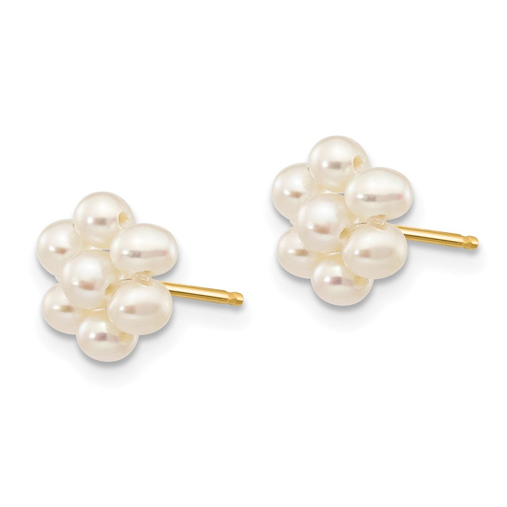 10K Yellow Gold 2-3mm White Egg Freshwater Cultured Pearl Flower Post Earrings