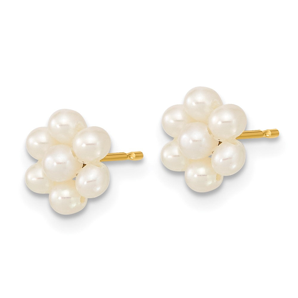 10K Yellow Gold 2-3mm White Button Freshwater Cultured Pearl Flower Post Earrings