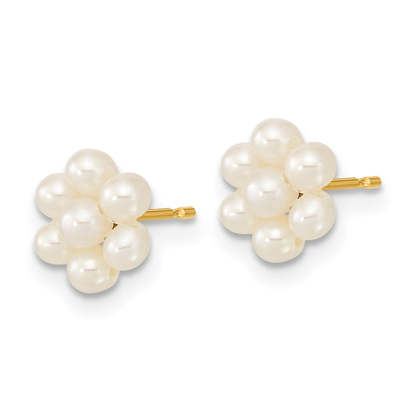 10K Yellow Gold 2-3mm White Button Freshwater Cultured Pearl Flower Post Earrings