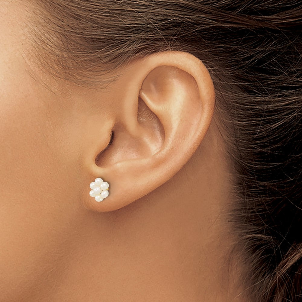 10K Yellow Gold 2-3mm White Button Freshwater Cultured Pearl Flower Post Earrings