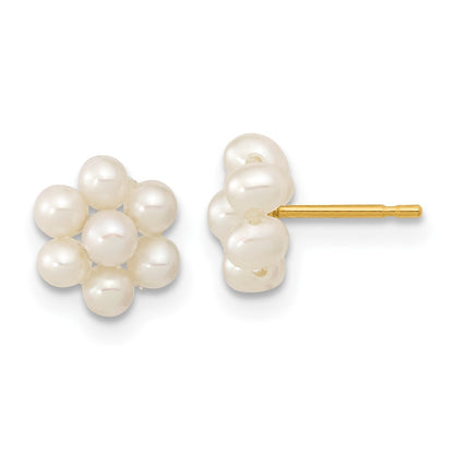 10K Yellow Gold 2-3mm White Button Freshwater Cultured Pearl Flower Post Earrings