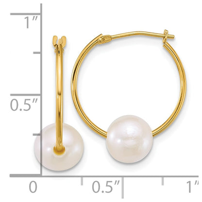 10K Yellow Gold Polished 7-8mm Semi-Round White Freshwater Cultured Pearl Hoop Earrings