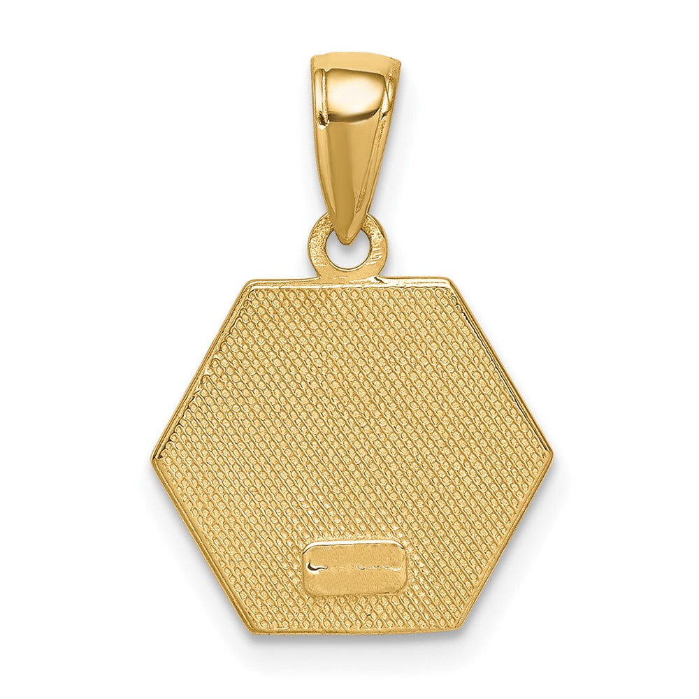 10K Yellow Gold 10K Enameled Medical Disk Pendant