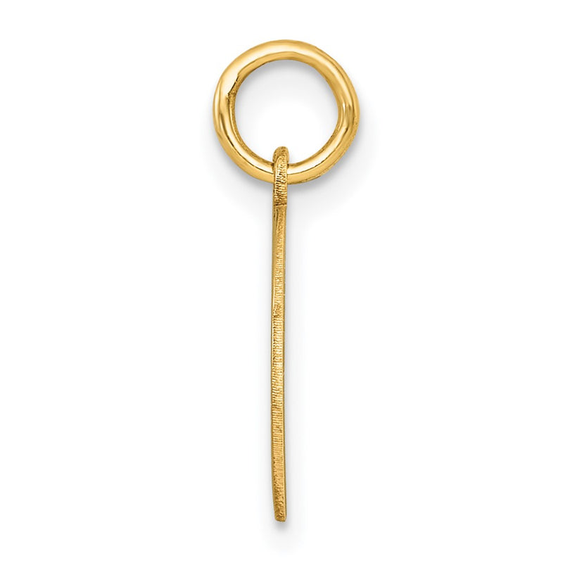 10K Yellow Gold 10K Round Disc Charm