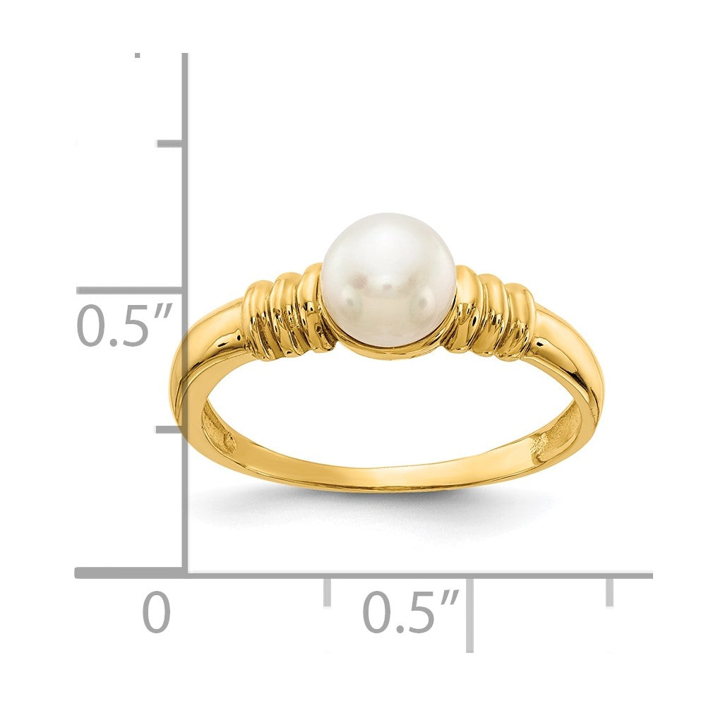 10K Yellow Gold 10K 5-6mm White Button Freshwater Cultured Pearl Ring