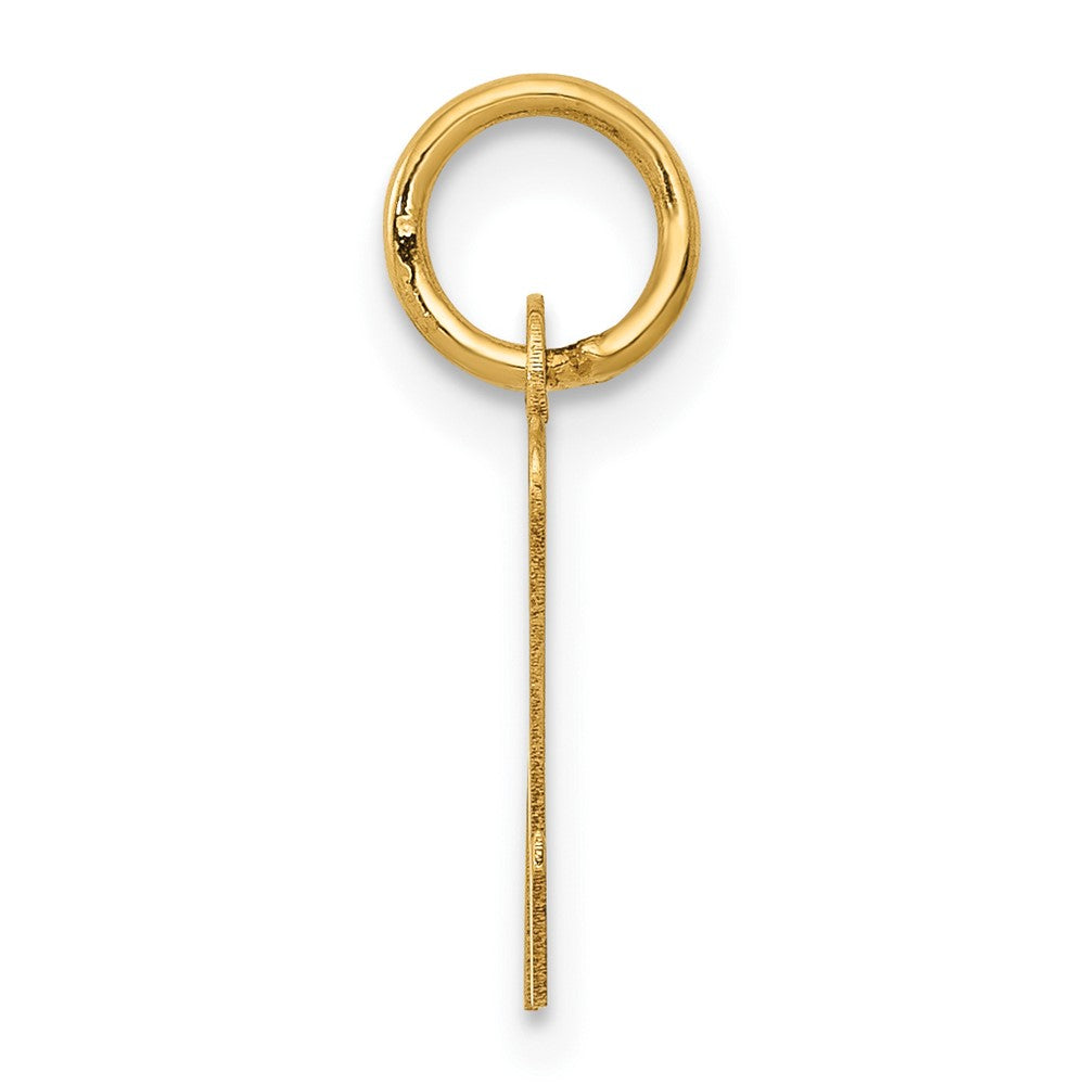 10K Yellow Gold Small Script Initial N Charm