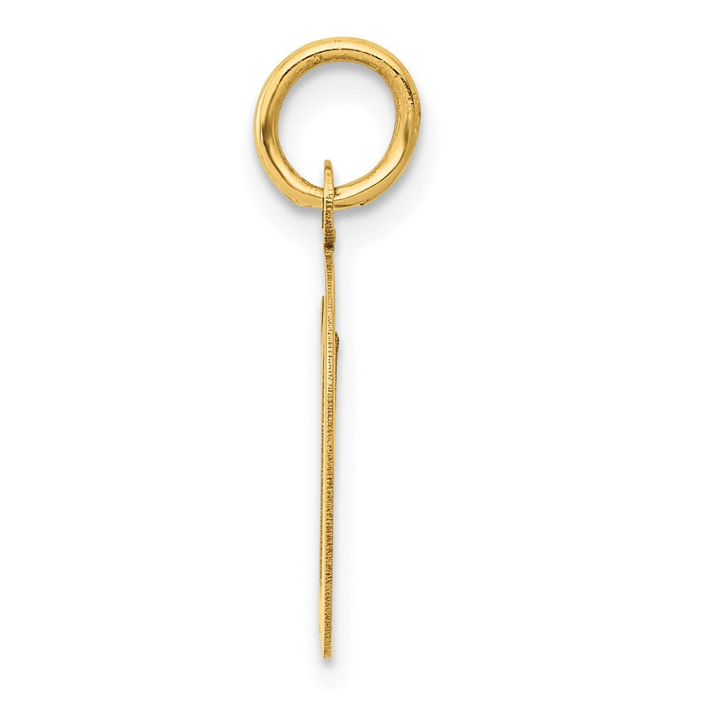 10K Yellow Gold 10K Medium Script Letter D Initial Charm