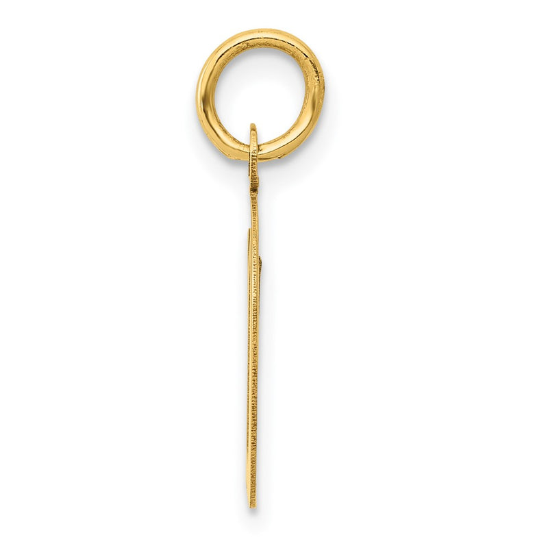 10K Yellow Gold 10K Medium Script Letter D Initial Charm