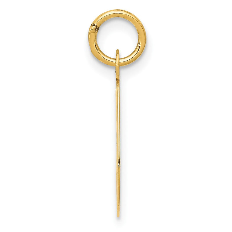 10K Yellow Gold 10K Medium Script Letter G Initial Charm