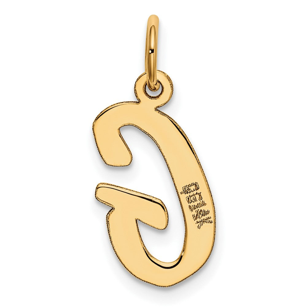 10K Yellow Gold 10K Medium Script Letter G Initial Charm