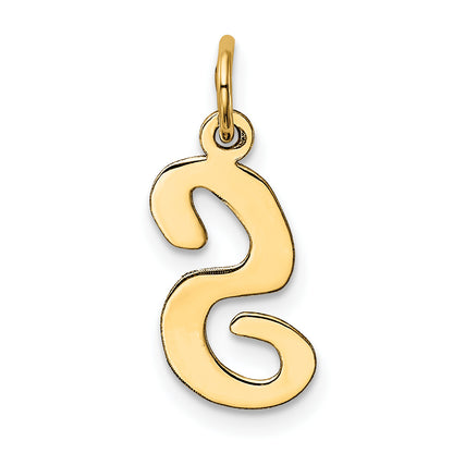 10K Yellow Gold 10K Medium Script Letter S Initial Charm