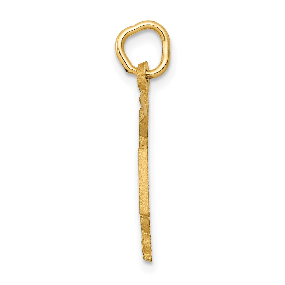 10K Yellow Gold Nurse Charm