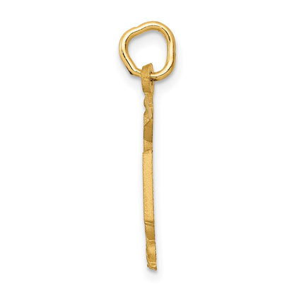 10K Yellow Gold Nurse Charm