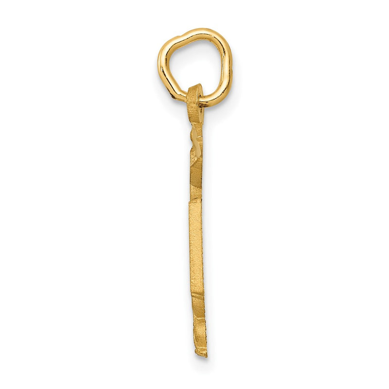 10K Yellow Gold Nurse Charm