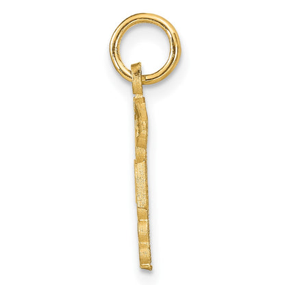 10K Yellow Gold Nurse Charm