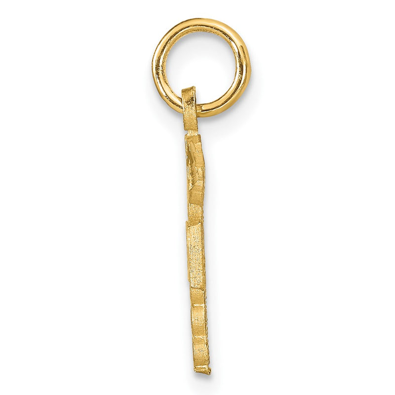 10K Yellow Gold Nurse Charm