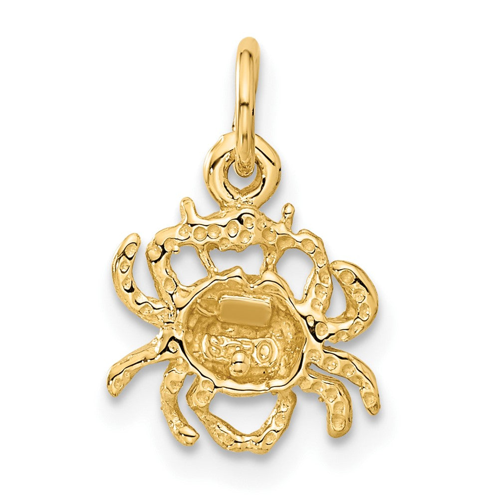 10K Yellow Gold Cancer Zodiac Charm