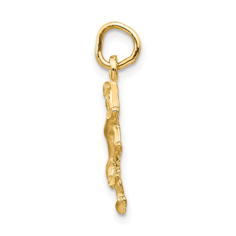 10K Yellow Gold Leo Zodiac Charm
