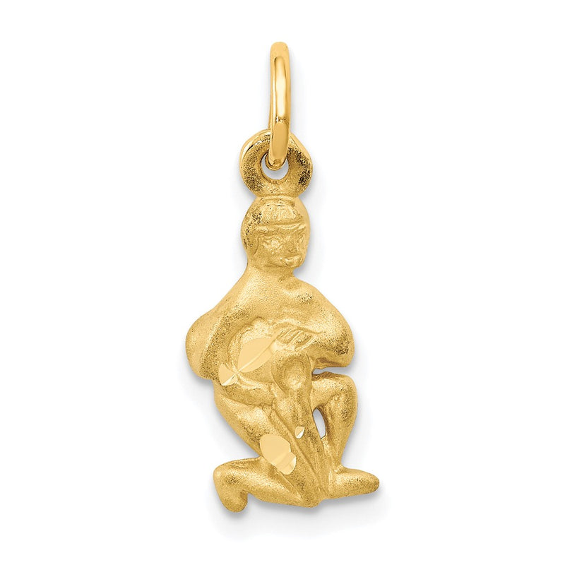 10K Yellow Gold Aquarius Zodiac Charm