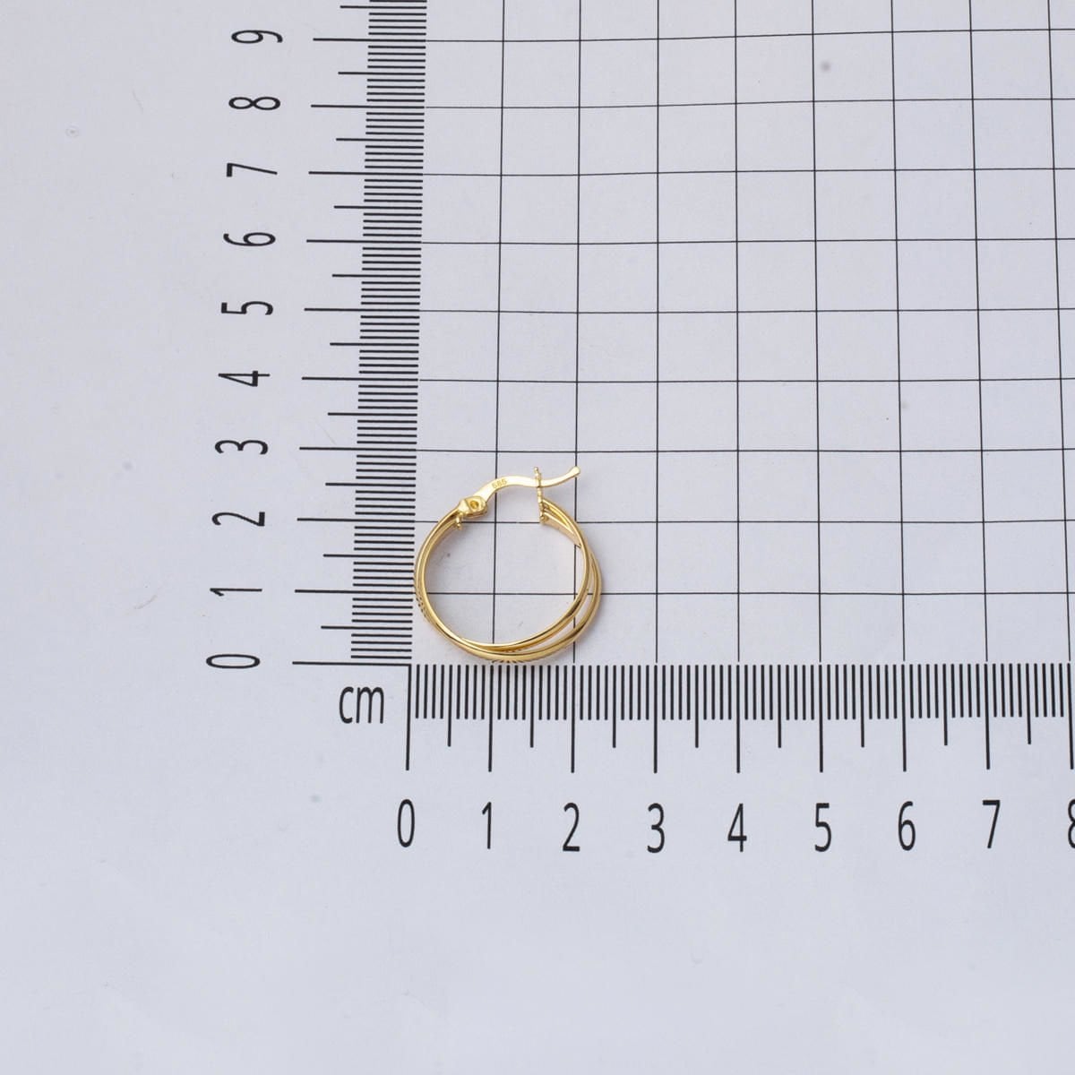 14K Yellow Gold 2.5 cm Diameter Double Hoop Earrings