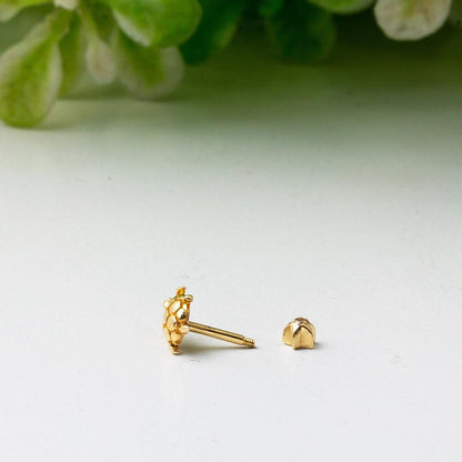 14K Yellow Gold Turtle Tragus Earrings