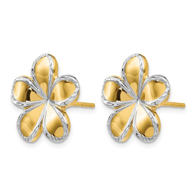 14K Yellow & Rhodium W/Rhodium Flower Post Earrings
