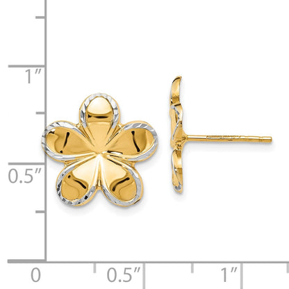 14K Yellow & Rhodium W/Rhodium Flower Post Earrings