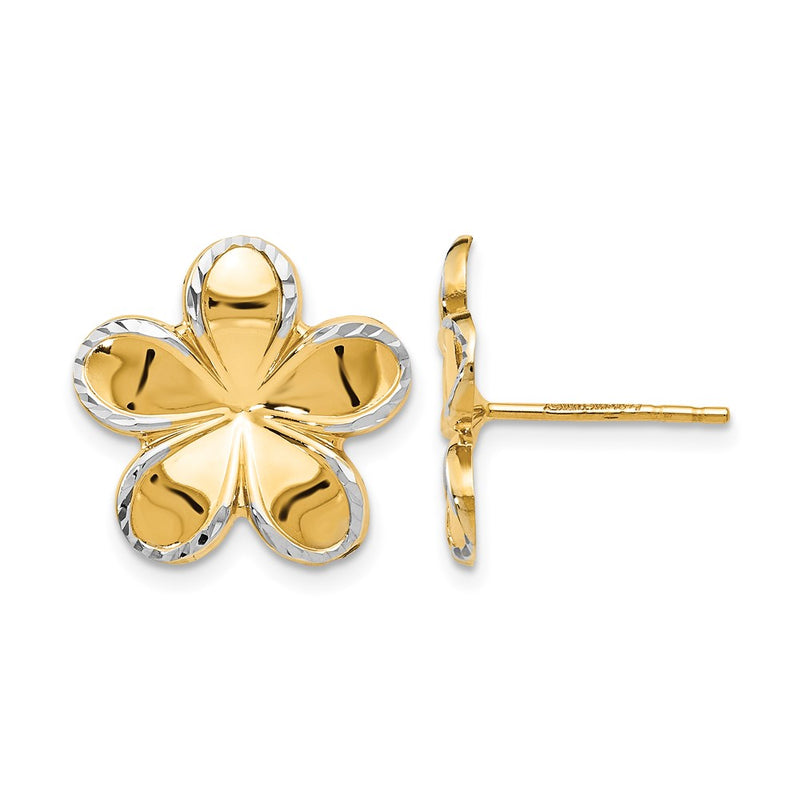 14K Yellow & Rhodium W/Rhodium Flower Post Earrings
