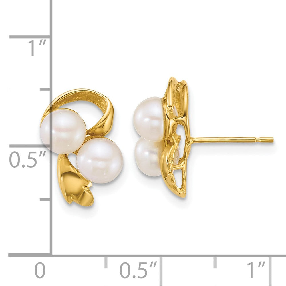 14K Yellow Gold Polished 5-6mm Button Freshwater Cultured 2-Pearl Post Earrings