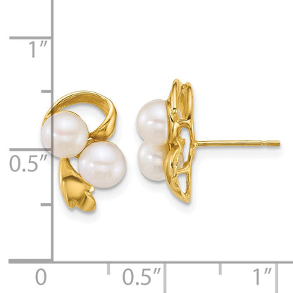 14K Yellow Gold Polished 5-6mm Button Freshwater Cultured 2-Pearl Post Earrings