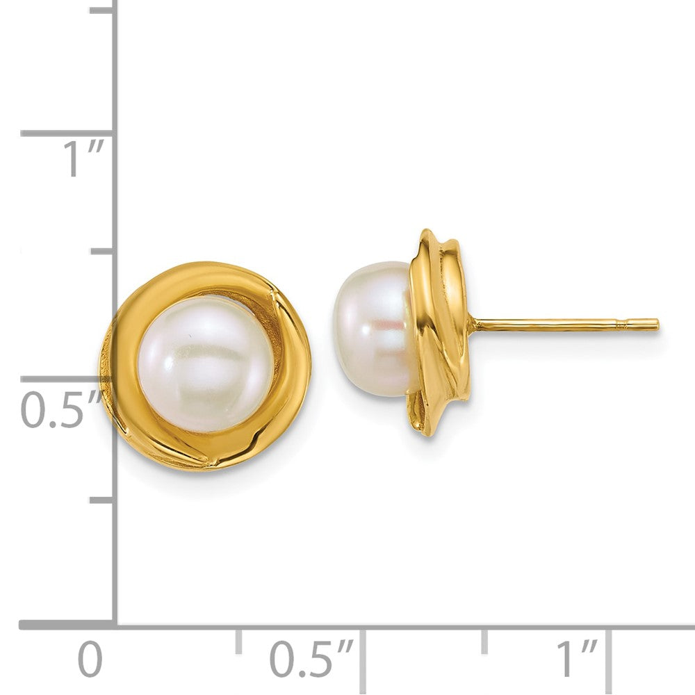 14K Yellow Gold Polished 6-7mm Button Freshwater Cultured Pearl Post Earrings