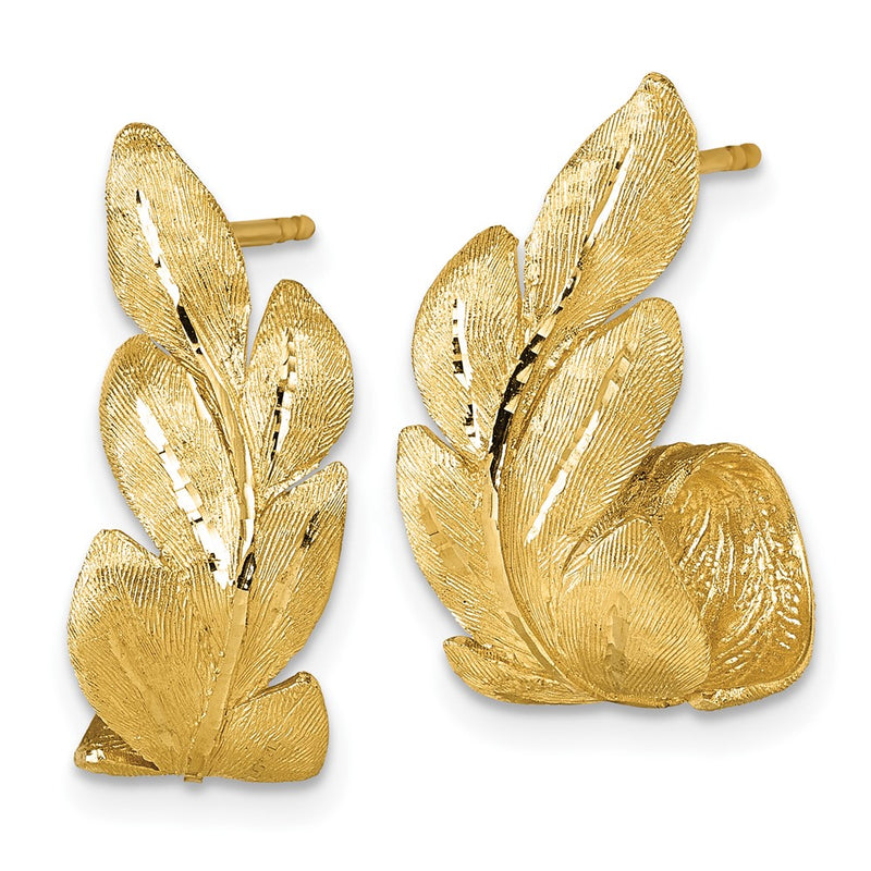 14K Yellow Gold Brushed And Textured Curled Leaf Post Earrings