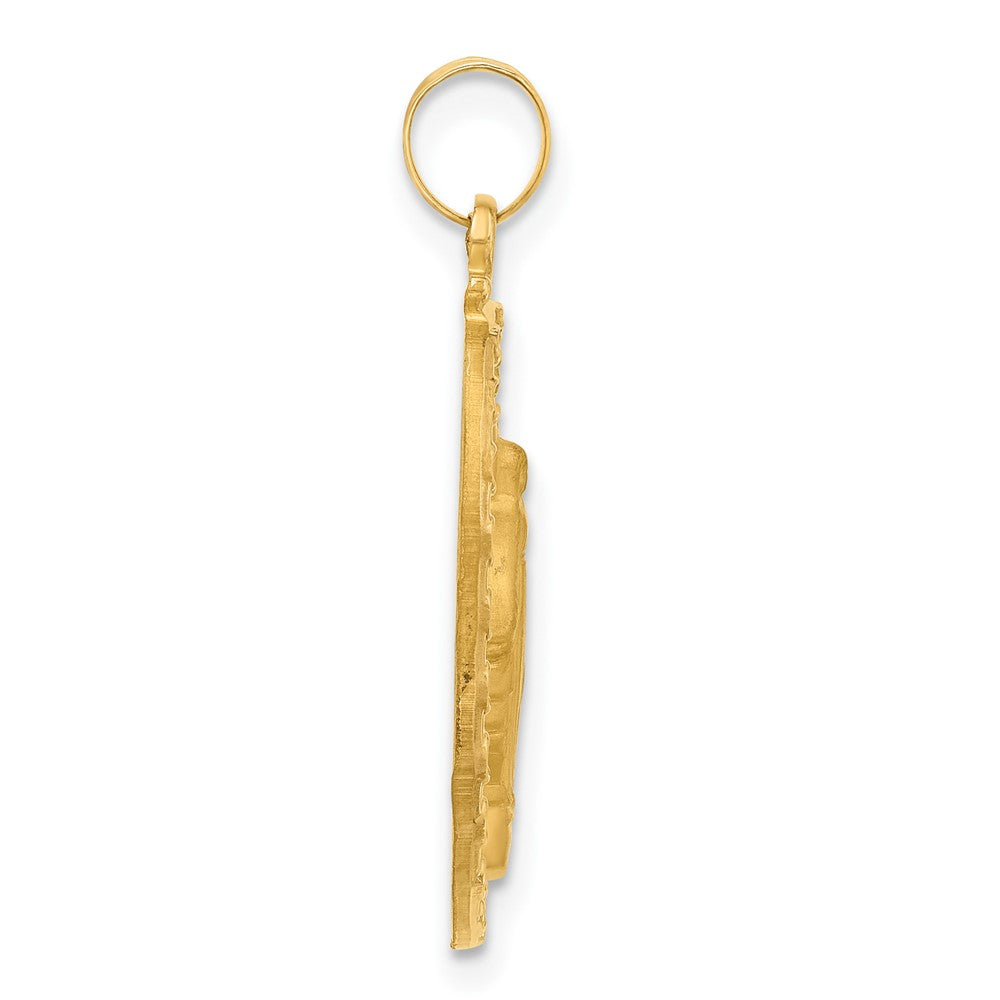 14K Yellow Gold Polished and Satin Solid Miraculous Medal Oval Pendant