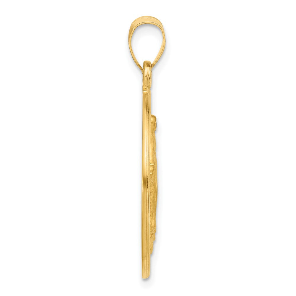 14K Yellow Gold Polished and Satin Solid Miraculous Medal Plain Back Round Pendant