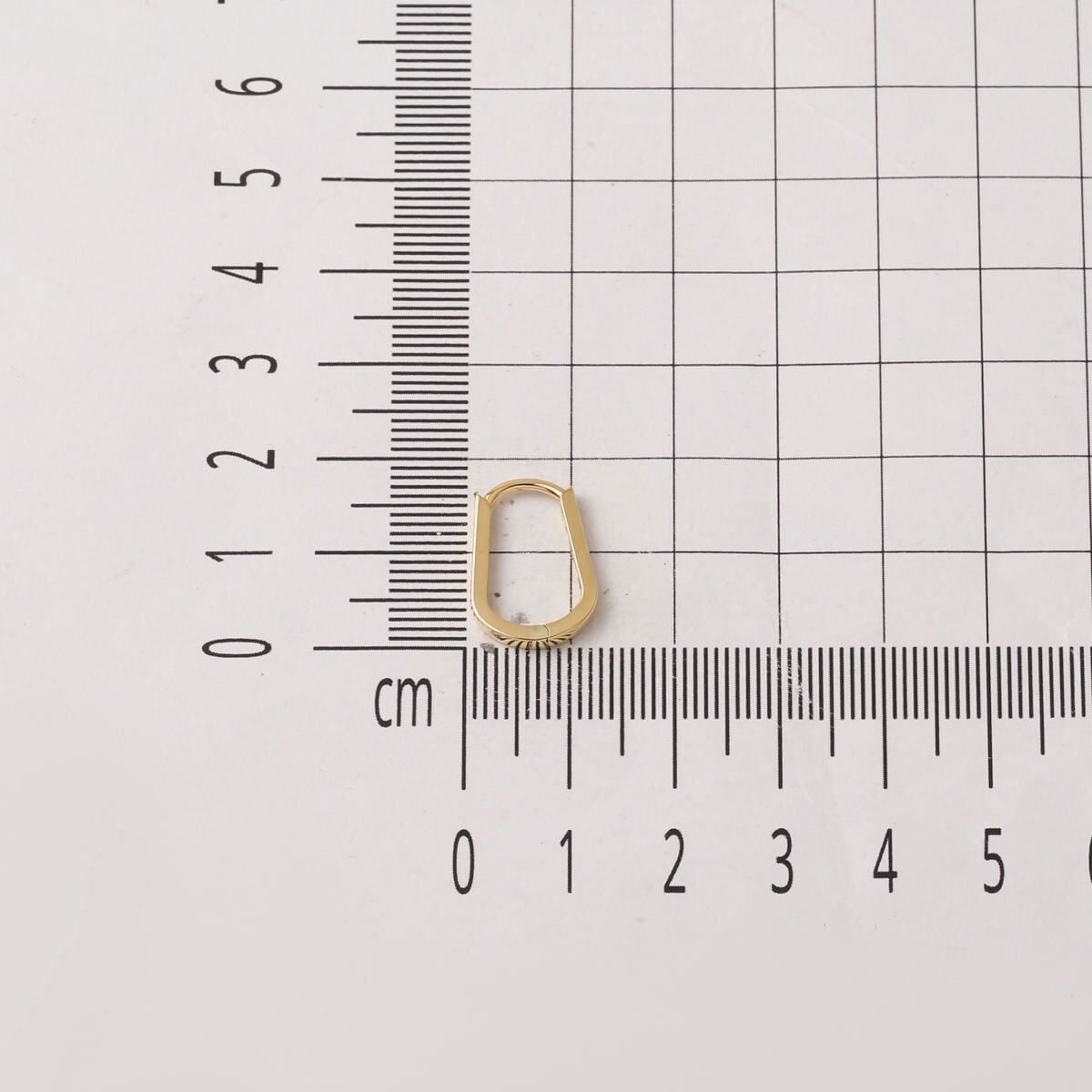 14K Yellow Gold Vera Hoop Earrings