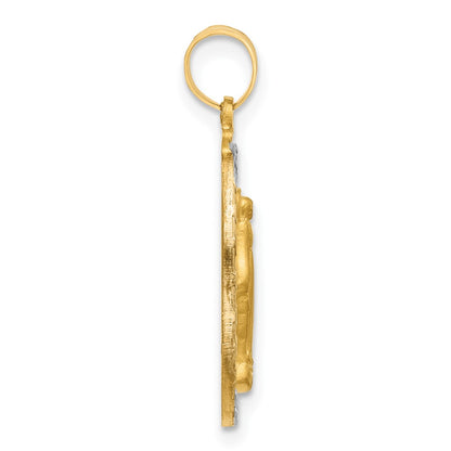 14K Yellow Gold and Rhodium Polished and Satin Solid Miraculous Medal Oval Pendant