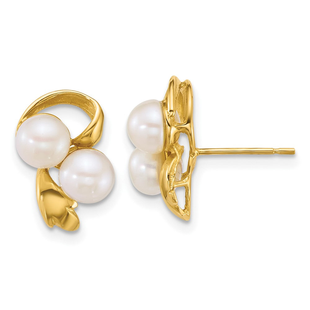14K Yellow Gold Polished 5-6mm Button Freshwater Cultured 2-Pearl Post Earrings