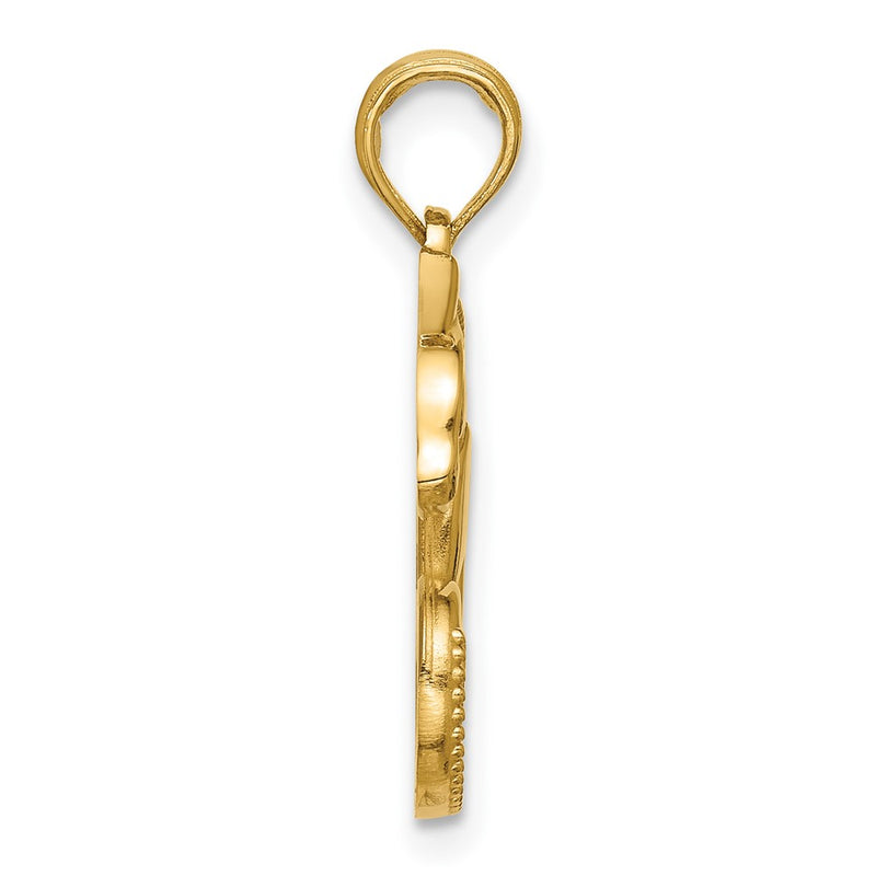 14K Yellow Gold Polished Chameleon Pendant