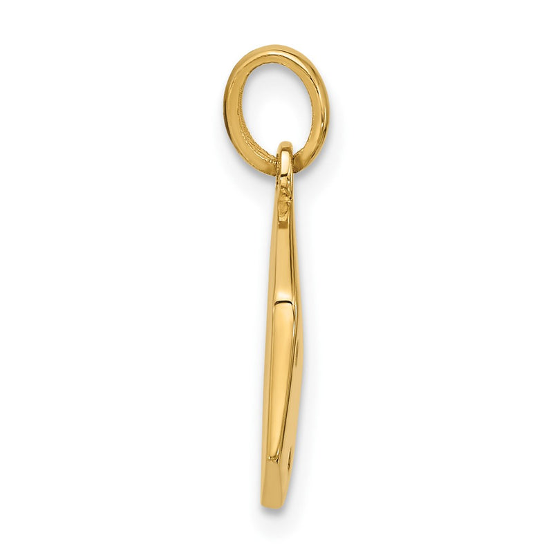 14K Yellow Gold Polished Dice Charm