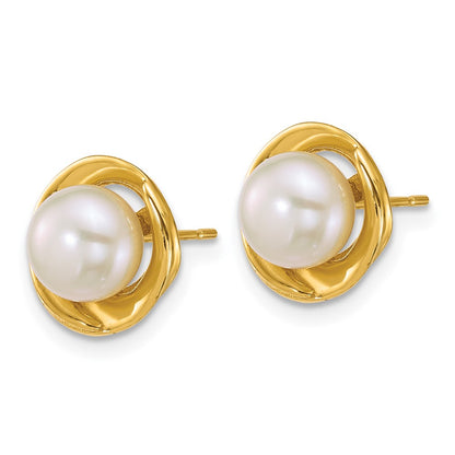 14K Yellow Gold Polished 6-7mm Button Freshwater Cultured Pearl Post Earrings