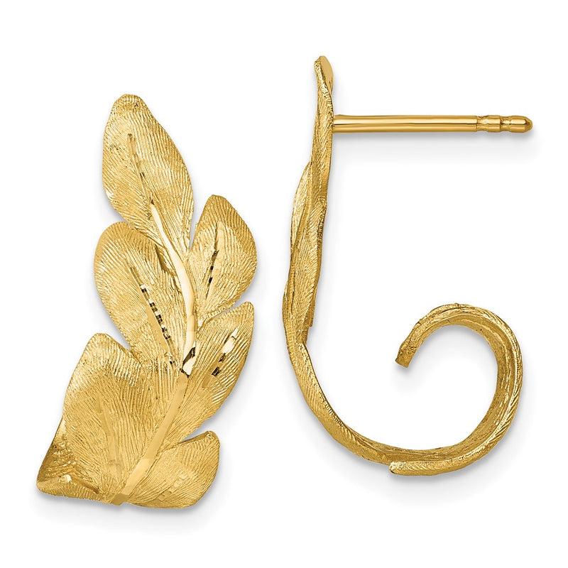 14K Yellow Gold Brushed And Textured Curled Leaf Post Earrings