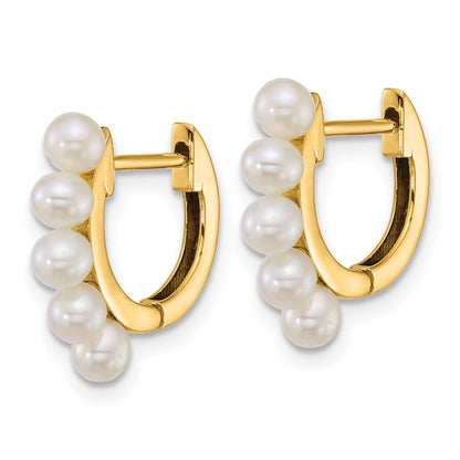 14K Yellow Gold Polished 3-4mm Rice South Sea Saltwater Cultured Pearl Hinged Hoop Earrings
