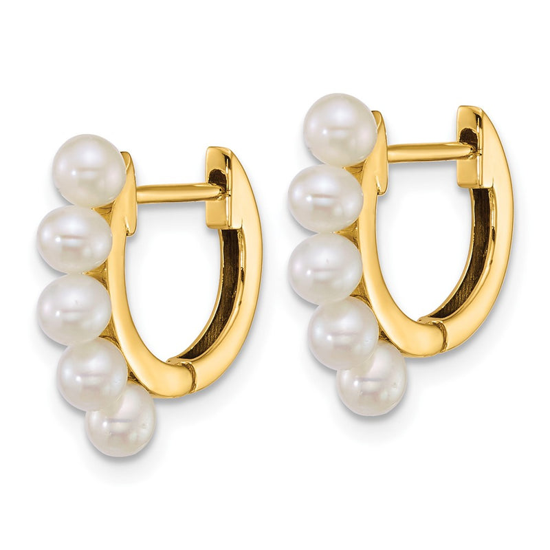 14K Yellow Gold Polished 3-4mm Rice South Sea Saltwater Cultured Pearl Hinged Hoop Earrings