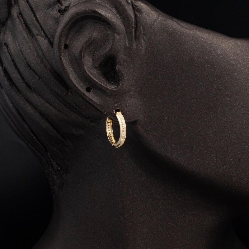 14K Yellow Gold Full Eternity Hoop Cubic Zirconia Earrings