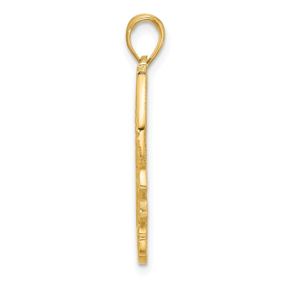 14K Yellow Gold Polished Fancy Seahorse in Kelp Charm