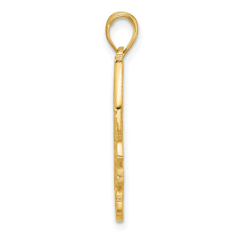 14K Yellow Gold Polished Fancy Seahorse in Kelp Charm