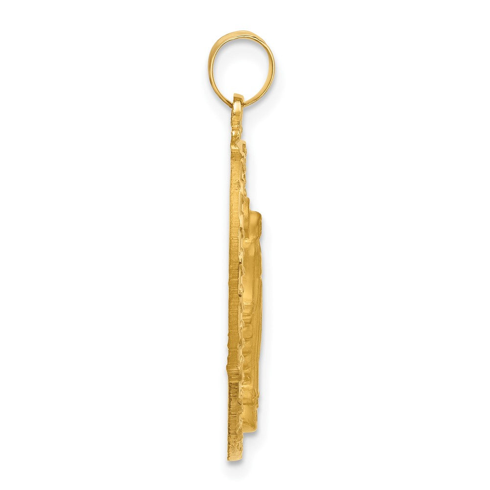 14K Yellow Gold Polished and Satin Solid Miraculous Medal Oval Pendant